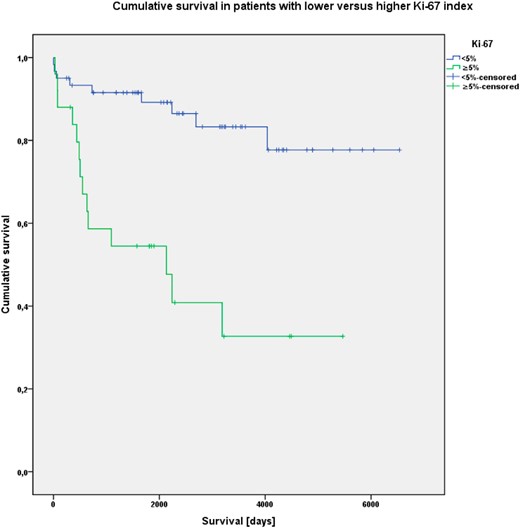 Kaplan-Meier analysis of cumulative OS in patients with Ki-67 index less than 5% and 5% or greater.