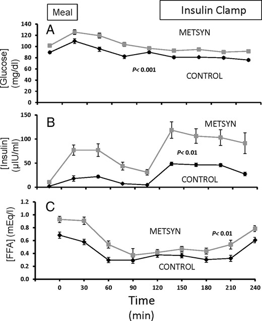 Time course for plasma glucose insulin and FFA changes over the 4 hours of the study.