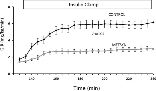The GIR required to maintain basal glucose concentration over the course of the 2-hour euglycemic insulin clamp.