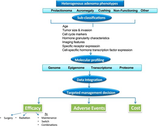 A personalized predictive approach to nonfamilial pituitary tumor management.