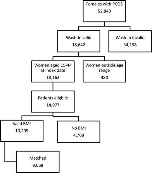 Patient selection.