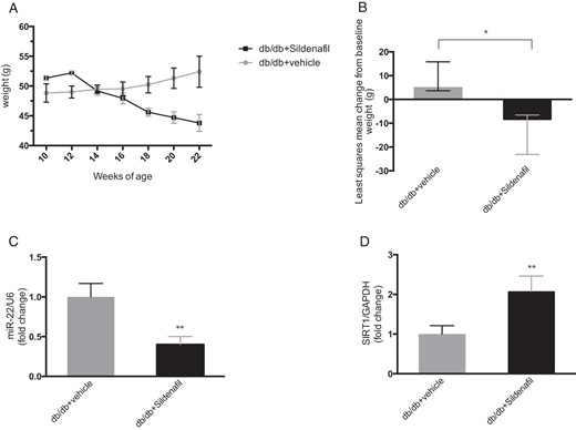 Weight, VAT miR-22, and SIRT1 changes in db/db mice.