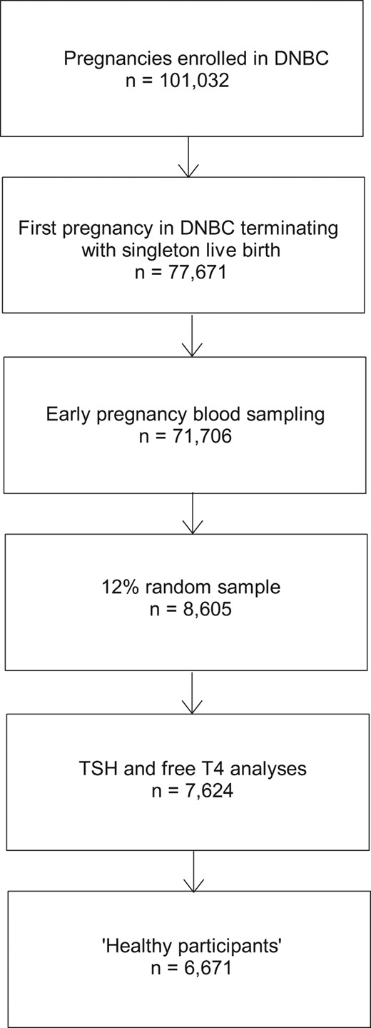 Flowchart showing participants in the DNBC and the selection of healthy participants included in the present study.