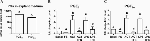 A, PGE2 and PGF2α concentration in explant medium after normalization for total tissue protein. Relative changes in PGE2 (B) and PGF2α (C) compared with basal levels (medium alone) at 24 hours of incubation. Full-thickness amniochorion tissues from women undergoing elective cesarean deliveries (n = 5) were challenged with activin-A (ACT), follistatin (FS), LPS (endotoxin), and combinations thereof. Bars marked with different letters are different statistically at P < .05. Data were analyzed using a one-way ANOVA on ranks followed by Dunn's post hoc tests.