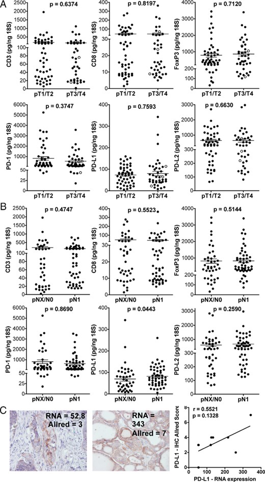 RNA expression analysis of tumor-infiltrating T cells and the PD-1 checkpoint pathway in DTC.