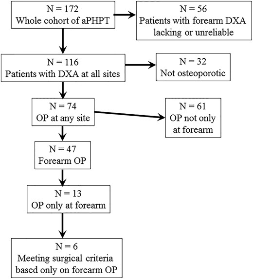 Flow diagram of the whole series.