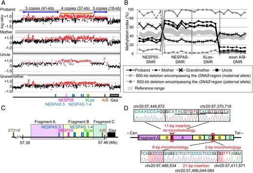 Genomic rearrangements and methylation statuses of this family.