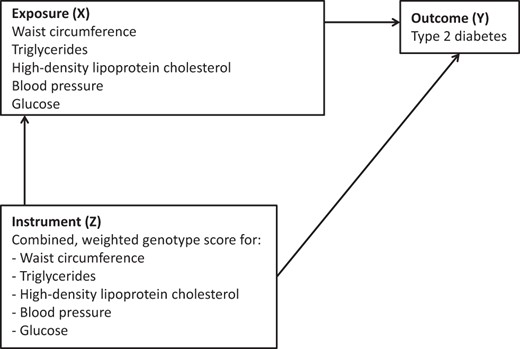 Mendelian randomization triangulation design with exposure (X), outcome (Y), and genetic instrument (Z).