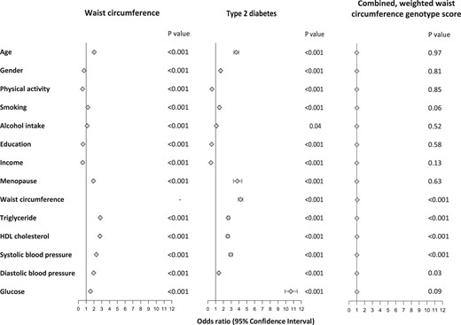 Association between potentially confounding factors (age, gender, physical activity, smoking status, alcohol intake, education status, income, menopause status, triglyceride level, HDL-C level, systolic BP, diastolic BP, and glucose level) and waist circumference, T2D, and combined, weighted waist circumference genotype score.