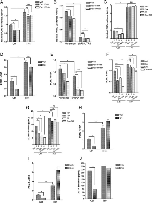 TR4 attenuates the Dex- or GR-mediated POMC suppression.