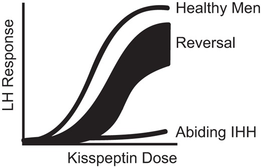 Model of kisspeptin responsiveness.