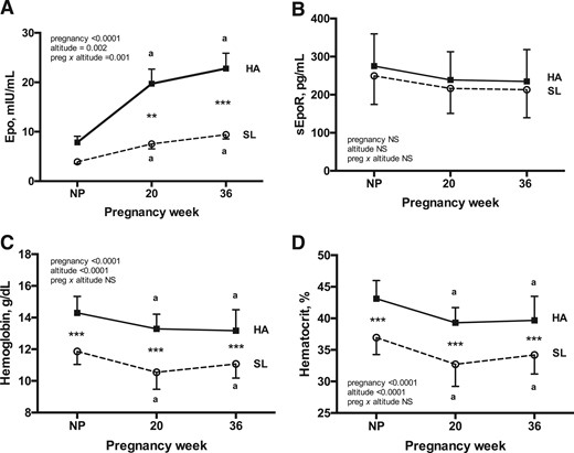 Maternal Epo, sEpoR, and indices of hemodilution during pregnancy at HA and SL. Repeated-measures 2-way ANOVA with Sidak corrections for multiple comparisons was used to contrast Epo, sEpoR, Hb, and Hct levels across pregnancy between Andean women residing at HA (n = 28) vs SL (n = 16). Complete Epo, sEpoR, Hb, and Hct data were available for each subject at every study point. (A) Pregnancy increased circulating Epo levels at HA but not at SL, with the result that Epo was greater at HA than at SL at 20 and 36 weeks. (B) sEpoR level did not change across pregnancy at either altitude, and values were equivalent between altitudes at each point of study. (C and D) Despite substantially higher Epo levels during pregnancy at HA, the magnitudes of pregnancy-associated falls in Hb and Hct levels were similar at both altitudes. As expected, Hb and Hct values were greater at HA than at SL at all times. Superscript a indicates significant differences relative to the nonpregnant state. Significant differences between altitudes are noted by ** (P < 0.01) or *** (P < 0.001). Data are shown as mean ± SD.