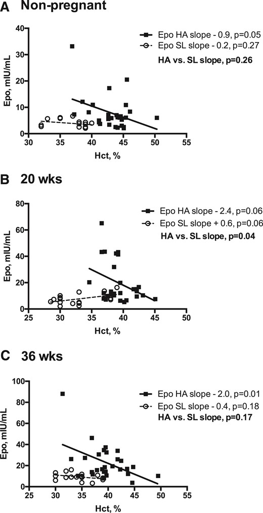 Relationship between Epo and Hct at HA vs SL in the nonpregnant state and during pregnancy. Linear regression models were used to test whether the relationship (slope) between Epo and Hct differed between Andean women residing at HA vs SL in the nonpregnant, postpartum period or during pregnancy (20 or 36 weeks). Complete Epo and Hct data were available for HA (n = 28) and SL (n = 16) women at all study points. Regression lines and individual data points for HA (solid lines, solid squares) and SL (dashed lines, open circles) are shown. (A) At SL, Epo and Hct levels were unrelated in the nonpregnant state; in contrast, nonpregnant Epo and Hct values were inversely associated at HA. (B) At 20 weeks, the relationship between Epo and Hct values was significantly different between the two altitudes, as indicated by the HA-SL slope contrast (P = 0.04). Specifically, at 20 weeks, Epo and Hct values were inversely related at HA and were positively associated at SL. (C) At 36 weeks, the relationship between Epo and Hct was similar to that of the nonpregnant state, with an inverse association apparent at HA and no association at SL.