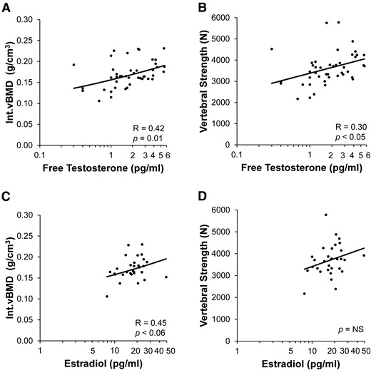 Associations of free testosterone and estradiol levels with Int.vBMD and vertebral strength in AN with current amenorrhea. Among women with low-weight AN and atypical AN with current amenorrhea, (A, B) Int.vBMD and vertebral strength were positively associated with free testosterone levels. Among AN subjects with current amenorrhea, (C) Int.vBMD trended toward a positive association with estradiol levels, and (D) vertebral strength was not associated with estradiol levels. Values of (A, B) free testosterone and (C, D) estradiol are displayed on log-transformed axes. Regression lines were log-transformed with respect to (A, C) Int.vBMD, (A, B) free testosterone, and (C, D) estradiol. In multivariable models controlling for estradiol, age, and BMI among amenorrheic AN subjects, free testosterone remained significantly associated with vertebral strength (P = 0.01) and explained about 21% of the variability in vertebral strength, whereas estradiol was not associated with vertebral strength.