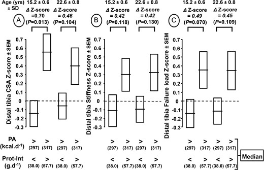 Cross-sectional area (CSA) (A), stiffness (B), and failure load (C) z scores of distal tibia measured at 15.2 and 22.6 years according to the physical activity (PA) and protein intake (Prot-Int) determined at 7.4 years. The cohort of 124 healthy boys was separated into 4 groups according to the medians of both PA and Prot-Int. The absolute values of CSA, stiffness, and failure load of the 4 groups in relation to both PA and Prot-Int are presented in Table 4. The z score difference (∆) with P levels for CSA, stiffness, and failure load between the 2 groups with high PA and either low or high Prot-Int are indicated above the brackets connecting the 2 corresponding bars.