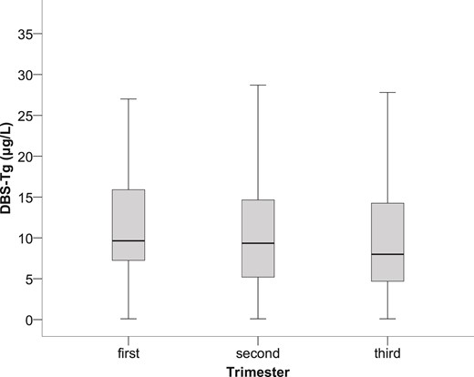 Box plot (median, interquartile range) of DBS-Tg derived from 599 euthyroid, TgAb-negative, pregnant women during the 3 trimesters of pregnancy (P = 0.245).