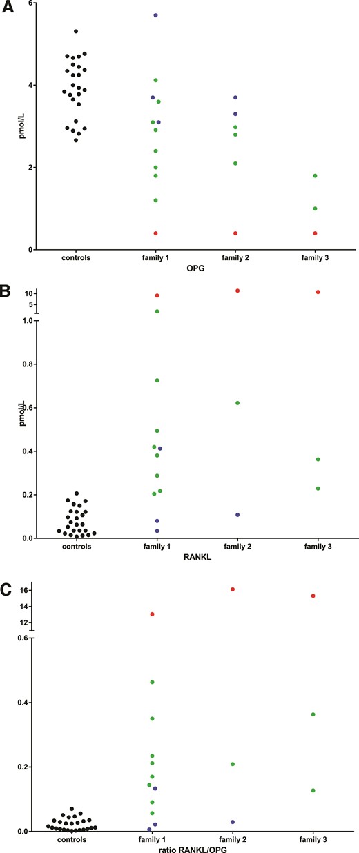 Plasma levels of OPG are diminished in patients with JPD and heterozygous family members. Plasma levels of (A) OPG (in pmol/L), (B) RANKL (in pmol/L), and (C) RANKL/OPG ratio in healthy adults (black circles), unaffected family members (blue circles), mutation carriers (green circles), and patients with JPD (red circles).