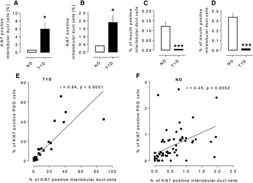 The frequency of replicating cells in the epithelium of interlobular duct cells (5.9 ± 1.7 vs 0.6 ± 0.1% Ki67-positive cells, T1D vs ND, *P < 0.01) (A) and intralobular duct cells (1.9 ± 0.5 vs 0.4 ± 0.0% Ki67-positive cells, *P < 0.01, T1D vs ND) (B) in T1D and ND subjects. The frequency of insulin-positive cells in the epithelium of interlobular ducts (0.005 ± 0.002 vs 0.12 ± 0.03% insulin-positive cells T1D vs ND, ***P < 0.0001) (C) and intralobular ducts (0.02 ± 0.01 vs 0.34 ± 0.05% insulin-positive cells, T1D vs ND, ***P < 0.0001) (D) in T1D and ND subjects. The relationship between frequency of Ki67 positivity in interlobular duct cells and in PDG cells from subjects with T1D (E) and ND subjects (F). The percentage of Ki67-positive cells in the PDGs (the number of Ki67+ PDG cells/total number of PDG cells) and the percentage of Ki67-positive cells in the interlobular pancreatic ducts (the number of Ki67+ interlobular duct cells/total number of interlobular duct cells) show a positive correlation in both the T1D donors (r = 0.84, P < 0.0001) and the ND donors (r = 0.45, P = 0.0002). Data were present as mean ± SEM, n = 22 donors for T1D, the data points representing 22 sections of head of pancreas, 21 sections of body of pancreas, and 22 sections of tail of pancreas; n = 24 donors for ND, the data points representing 24 sections of head of pancreas, 16 sections of body of pancreas, and 24 sections of tail of pancreas. White bars, ND, black bars, T1D.