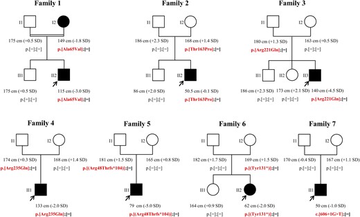 Pedigree, phenotype, and genotype of the 7 families in which an LHX4 variation was identified. Filled symbols represent subjects with pituitary deficits, and empty symbols represent healthy subjects. The proband heights were before recombinant human GH treatment. Arrows represent index cases.