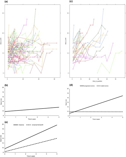 (a) Spaghetti plot: size of NF-pNETs <2 cm over time. (b) Modeled growth of NF-pNETs <2 cm. Growth curve NF-pNETs <2 cm. Coefficients derived from linear mixed models analysis. Mathematic representation of the model: tumor size in mm = 9.7 + (0.37 * time in years). (c) Spaghetti plot: size of progressive NF-pNETs <2 cm over time. (d) Modeled growth of progressive NF-pNETs <2 cm. Growth curve of progressive vs stable NF-pNETs <20 mm. Coefficients derived from mixed models analysis. Mathematic representation of the model: Progressive: tumor size in mm = 9.1 + (1.55 * time in years). Stable: tumor size in mm = 9.9 + (−0.01 * time in years). (e) Modeled growth of progressive NF-pNETs <20 mm stratified by genotype. Growth curve of progressive NF-pNETs <2 cm stratified by genotype. Coefficients derived from mixed models analysis. P-value for interaction 0.09. Mathematical representation of the model: Missense: tumor size in mm = 9.6 + (2.02 * time in years). Nonsense/frameshift: tumor size in mm = 8.3 + (1.14 * time in years).