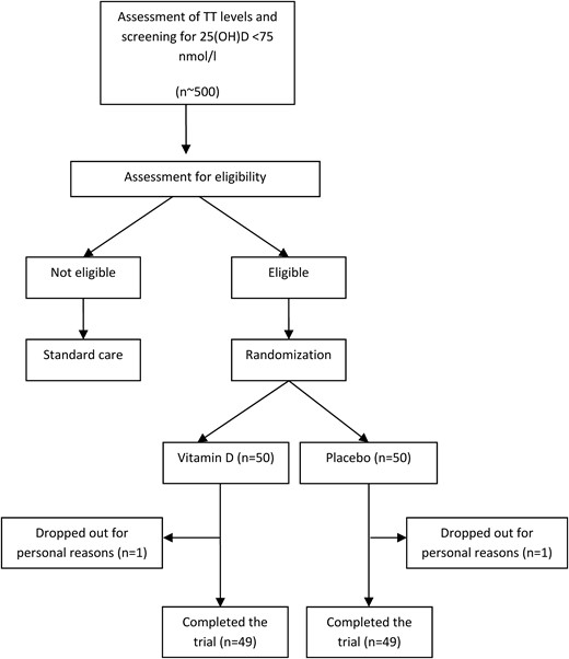 Study flowchart showing recruitment, dropout, and follow-up of study participants.