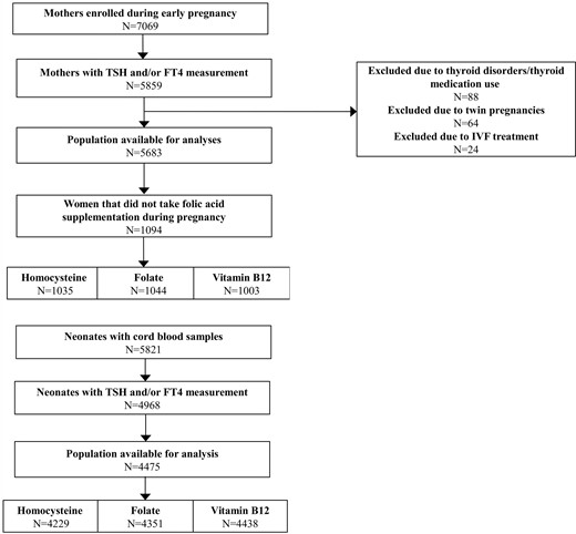 Flowchart showing selection procedure of the study population.