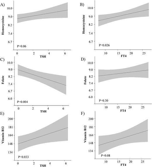The association of maternal thyroid function with homocysteine, folate, and vitamin B12 concentrations. Plots show the linear regression models for the association of TSH and FT4 with folic acid, vitamin B12, and homocysteine concentrations, as predicted mean with 95% CI in the group of mothers that did not take folic acid supplements anytime during pregnancy. Analyses were adjusted for gestational age at blood sampling, fetal sex, ethnicity, maternal age, educational level, parity, and smoking status.