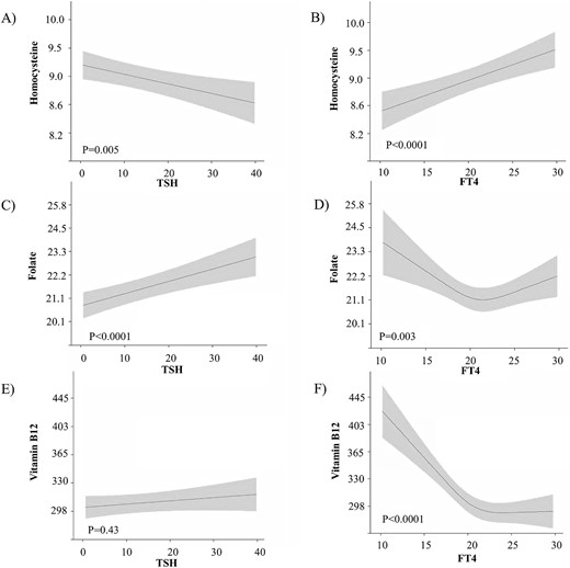 The association of neonatal thyroid function with homocysteine, folate, and vitamin B12 concentrations. Plots show the linear regression models for the association of TSH and FT4 with folic acid, vitamin B12, and homocysteine concentrations, as predicted mean with 95% CI in the neonates. Analyses were adjusted for birth weight standardized for gestational age, fetal sex, ethnicity, maternal age, educational level, parity, and smoking status.