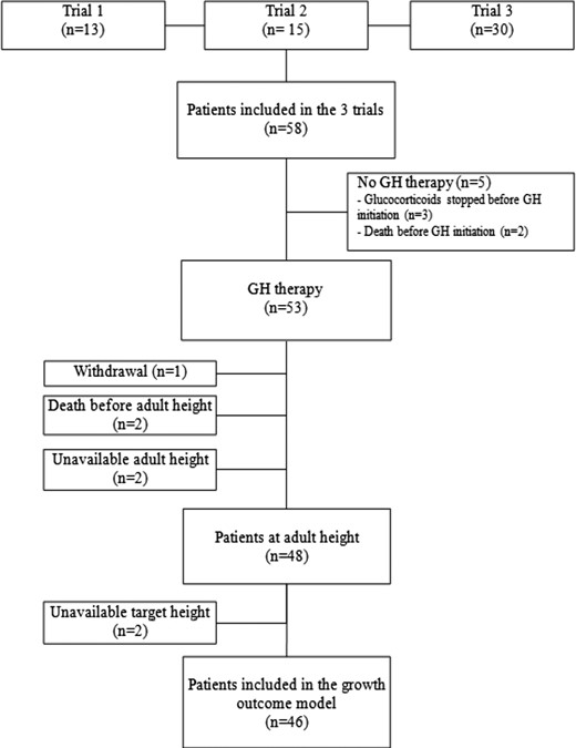 Patient flowchart.