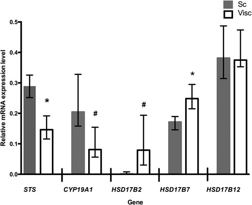 Relative mRNA expression levels of genes for estrogen-metabolizing enzymes in abdominal subcutaneous (Sc) and visceral (Visc) AT. *P ≤ 0.05; #P ≤ 0.01; subcutaneous vs visceral AT (Wilcoxon signed rank test, n = 12). Data are expressed as median (interquartile range) and represent relative expression levels. CYP19A1, aromatase; HSD17B2, HSD17B7, and HSD17B12, hydroxysteroid 17-β dehydrogenase 2, 7, and 12.