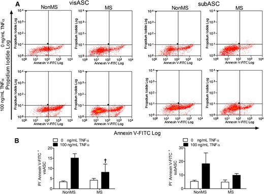 Induction of cell apoptosis in visASCs and subASCs from obese subjects with different metabolic profiles, cultured for 24 hours in serum-free medium with and without 100 ng/mL TNFα. (A) Detection of apoptotic cells by flow cytometry based on negative staining for propidium iodide but positive staining for annexin V conjugated to FITC. (B) Quantification by flow cytometry of the percentage of ASCs showing early apoptosis in obese subjects grouped according to their metabolic profile (non-MS, n = 4; MS, n = 6). †, Significantly different results (Mann-Whitney U test, P < 0.05) compared with those of the non-MS group. FITC, fluorescein isothiocyanate.