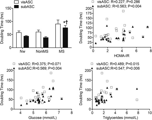 PDT of the visASCs and subASCs from the Nw and obese subjects with different metabolic profiles. The ASCs in passage 2 were seeded in duplicate at a density of 3000 cells/cm2 in 12-well plates and the PDT was calculated between the sixth and eighth day of culture. (Nw, n = 7; non-MS, n = 7; MS, n = 10). *, Significantly different results (Mann-Whitney U test, P < 0.05) compared with those of Nw patients; †, Significantly different results (Mann-Whitney U test, P < 0.05) compared with those of patients without MS.
