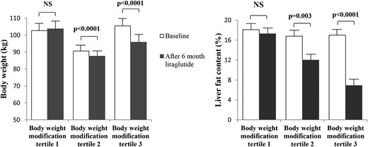 Body weight reduction and liver fat content reduction with liraglutide treatment in patients with type 2 diabetes, according to the tertile of body weight modification. NS, not significant.