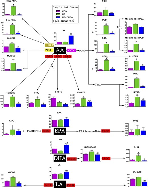 Lipid metabolites derived from AA, eicosapentaenoic acid (EPA), DHA, and LA in rat serum. AA is C20:4; DHA is C22:6; EPA is C20:5; LA is C18:2. *P < 0.05 compared with CON; #P < 0.05 compared with HF. LTB4 leukotriene B4; LXA4, lipoxin A4; PGFM, prostaglandin F metabolite; PGI2, prostacycline I2; P450epo, cytochrome P450 epoxygenase; RVD, resolvin D; RVE, resolvin E; 15d-PGJ2, 15-deoxy-Δ12,14-prostaglandin J2.