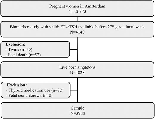 Schematic presentation of the study with all exclusion criteria.