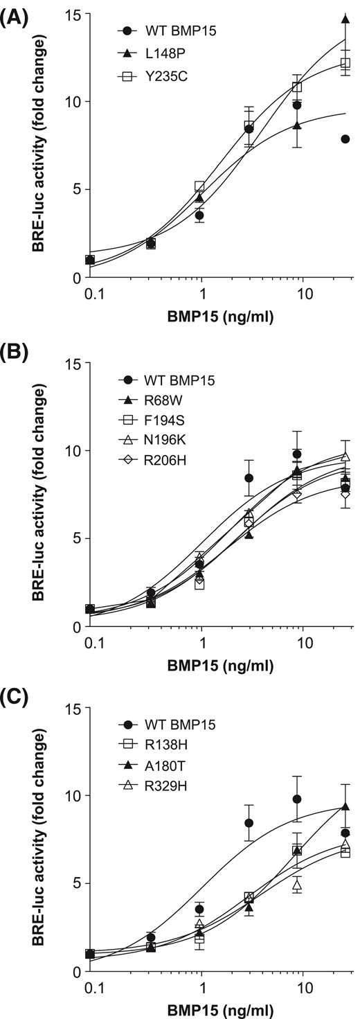 Bioactivity of pro-BMP15 variants. COV434 human GCs, transfected with a Smad1/5/8-responsive luciferase reporter, were stimulated with increasing concentrations (0.3 to 12 ng/ml) of FLAG affinity-purified hBMP15 variants. Luciferase activity was measured and based on activity at 10 ng/ml; BMP15 variants were separated into (A) high, (B) medium, and (C) low responders. Data are the mean ± standard deviation of triplicate determinations from representative experiments, relative to an adjusted value of 1.0 for the mean of the control wells. The experiments were repeated 4 times. WT, wild-type.