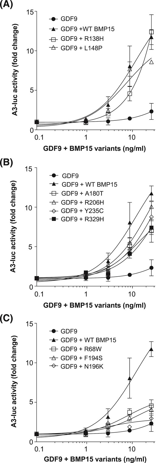 Mutations in the BMP15 prodomain affect synergy with GDF9. COV434 human GCs, transfected with a Smad2/3-responsive luciferase reporter, were stimulated with equal concentrations (1 to 12 ng/ml) of recombinant human GDF9 and FLAG affinity-purified hBMP15 variants. Luciferase activity was measured, and BMP15 variants were separated into those that demonstrated (A) high, (B) moderate, or (C) minimal synergy with GDF9. Data are the mean ± standard deviation of triplicate determinations from representative experiments, relative to an adjusted value of 1.0 for the mean of the control wells. The experiments were repeated 3 times. WT, wild-type.