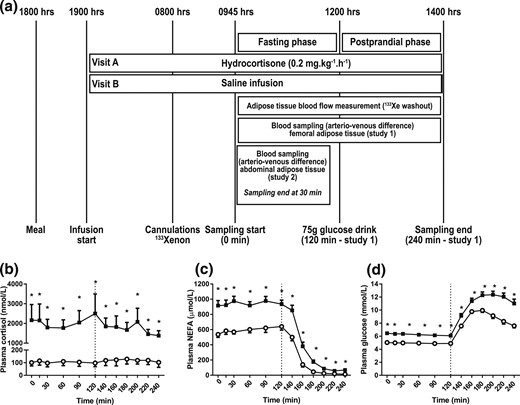 (a) Study design and systemic metabolite concentrations. Healthy male volunteers underwent the study twice, receiving either a constant overnight hydrocortisone or saline infusion until the end of the study. Infusions were given in a randomized, double-blind order. A standard 75-g glucose drink was given at 120 minutes (n = 9; study 1). In 8 further individuals (study 2), blood sampling across abdominal adipose tissue was performed in the fasting state only. (b) Plasma cortisol, (c) NEFA, and (d) glucose during hydrocortisone (black squares) or saline (open circles) infusion. Hypercortisolemia increased plasma NEFA and glucose concentrations. Data from study 1, n = 9; *P < 0.05 compared with saline for each time point, Wilcoxon test.