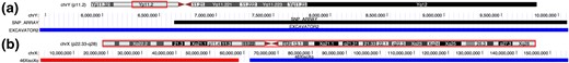 University of California, Santa Cruz, Genome Browser screenshots demonstrating EXCAVATOR2-based CNV detection. (a) Y-chromosome material present in patient 14, who had TS. Black bars and blue bars indicate microarray and exome data predictions, respectively. (b) 46,X, iso(Xq) detection using simulated data. Monosomy of Xp and trisomy of Xq is indicated by red bars and blue bars, respectively.