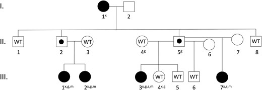 Pedigree of family 1. Affected individuals are filled in black. All affected individuals carry the DLK1 mutation. Unaffected carriers, due to the imprinted pattern of inheritance, are marked with a black dot (II.2 and II.5). Individuals whose DNA was tested and did not carry the deletion are marked with the letters WT (wild-type). All wild-type individuals had normal pubertal timing. Individuals marked by empty symbols (I.2, II.6, II.7) were not tested. An “x” denotes that the subject underwent exome sequencing; a “g” denotes that the subject underwent whole-genome sequencing; and “s” denotes that the subject underwent genome-wide SNP microarray genotyping; and an “m” denotes that the subject underwent regional MLPA analysis.