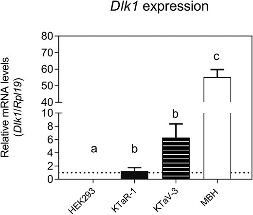 Dlk1 mRNA expression in mouse MBH and in two kisspeptin-expressing mouse cell lines (KTaR-1 and KTaV-3). Dlk1 mRNA levels were measured by real-time quantitative PCR. HEK293 cells were used as a negative control. Results are shown as mean ± standard error of the mean for each sample (n = 3). Means with different letters are significantly different from one another (Tukey honest significant difference test, P < 0.05). Specifically, expression levels in HEK293 cells are significantly different than in KTaR-1 and KTaV-3 cells, which are also significantly different from MBH. There is no significant difference between KTaR-1 and KTaV-3. KTaR-1 is an arcuate-derived immortalized mouse cell line; KTaV-3 is an anteroventral periventricular-derived immortalized mouse cell line.