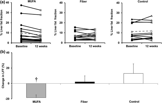 (a) LFF at baseline (closed symbols) and after 12 weeks (open symbols) of dietary intervention in the MUFA group (left panel) (n = 15) before (●) and after (○) intervention, fiber group (middle panel) (n = 13) before (black square) and after (white square) intervention, and control group (right panel) (n = 11) before (black triangle) and after (white triangle) intervention. Control denotes habitual diet. Mean data are shown in gray dashed lines. (b) Percent change in LFF in MUFA (gray bar) (n = 15), fiber (black bar) (n = 13), and control (white bar) (n = 11) groups at baseline and after 12 weeks of dietary intervention. Control denotes habitual diet. †MUFA group vs control group at 12 weeks, P < 0.01.