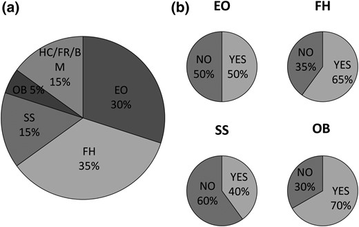 Clinical features of our cohort of 20 patients. (a) Reasons for the first medical consultation. (b) Additional features identified during patient follow-up. BM, brachymetacarpia; EO, ectopic ossification; FH, family history; FR, frameshift mutation; HC, hypocalcemia; OB, obesity; SS, short stature.