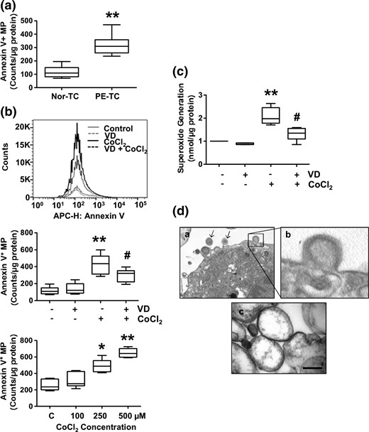 MP release and superoxide generation by placental trophoblast cells. (a) MP shedding by trophoblasts from uncomplicated and preeclamptic placentas. Annexin V+ MPs were assessed by flow cytometry. Data are expressed as counts per microgram of protein per well. Annexin V+ MP shedding was significantly more by trophoblasts from preeclamptic placentas (PE-TC) than those from uncomplicated placentas (Nor-TC). **P < 0.01. (b) CoCl2-induced increase in trophoblast MP shedding could be attenuated when cells were pretreated with 1,25(OH)2D3 (VD). Trophoblasts from uncomplicated placentas were used. The upper panel shows a representative flow cytometry measurement of annexin V+ MPs released by control cells, cells treated with VD, cells treated with CoCl2, and cells treated with VD + CoCl2. APC-H, allophycocyanin-height. The middle panel box and whisker plots show data from six independent experiments. **P < 0.01 (CoCl2 treated versus control); #P < 0.05 (VD + CoCl2 versus CoCl2). The lower panel shows a dose response effect of CoCl2 on MPs release by trophoblasts. *P < 0.05 and **P < 0.01 (CoCl2 treated versus control). Data are from trophoblasts isolated from three placentas, each cultured in duplicate. (c) Consistent with MP shedding, CoCl2-induced increase in trophoblast superoxide generation could also be attenuated when cells were pretreated with 1,25(OH)2D3. **P < 0.01 (CoCl2 treated versus control); #P < 0.05 (VD + CoCl2 versus CoCl2). (d) Trophoblasts and MPs assessed by electron microscopy. Panel a shows an image of trophoblast with membrane blebbing and MPs (magnification, 30,000×; arrows, MPs). Panel b shows and enlargement of the insert of panel a, showing membrane blebbing. Panel c shows an image of MPs, showing that isolated trophoblast MPs are intact and with sizes between 0.1 and 1.0 µm in diameters (magnification, 150,000×; bar, 200 µm).