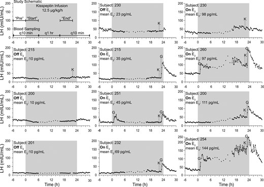 Eleven studies from eight PMW undergoing every-10-minute blood sampling and 24-hour kisspeptin infusions of 12.5 μg/kg/h (gray shaded box). G, 75 ng/kg GnRH by IV bolus; K, 0.313 μg/kg kisspeptin by IV bolus; mean E2, mean serum estradiol across study.