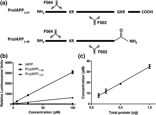 Development of an immunoassay to detect proIAPP1-48-like immunoreactivity. (a) Sandwich-immunoassay for detection of human IAPP precursors. F002 was used as capture antibody and F064 as detection antibody labeled with an MSD SULFO-TAG. (b) Standard curves for synthetic proIAPP1-67, proIAPP1-48, and mature IAPP using F002 as capture and F064 as detection. (c) Detection of proIAPP1-48 in twofold serial dilutions of healthy human islet lysate. Data represented as mean ± standard error of the mean of three technical replicates.