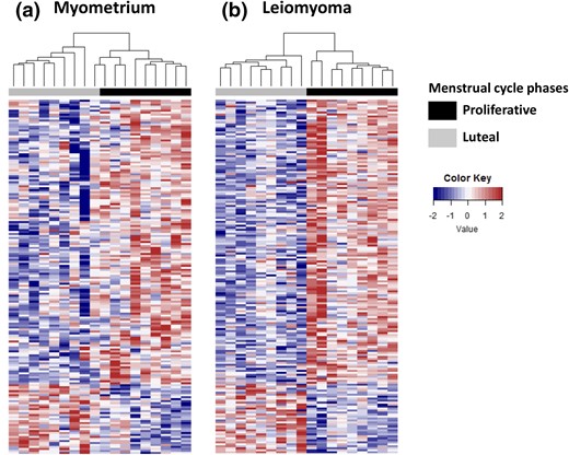 Impact of menstrual phase on patterns of gene expression in specimens of myometrium and leiomyoma. Heat maps of differentially expressed genes comparing matched specimens of (a) myometrium and (b) leiomyoma collected during the proliferative (black bar) or luteal (gray bar) menstrual phases with Euclidian hierarchical clustering (P < 0.01, fold change ≥ 1.5). Red, upregulated; blue, downregulated.