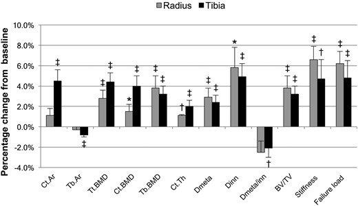 Percentage change in bone density by high-resolution peripheral quantitative computed tomography in subjects with primary hyperparathyroidism at 24 months postparathyroidectomy for selected parameters. Tb.Ar, trabecular area. *P < 0.05 compared with baseline; †P < 0.01 compared with baseline; ‡P < 0.001 compared with baseline.