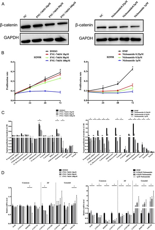 The effects of PNU-74654 and niclosamide on H295R cell proliferation, steroidogenesis, and differentiation. (A) β-catenin expression was determined by Western blot. (B) PNU-74654 and niclosamide inhibit cell proliferation in a time- and dose-dependent manner. (C) Steroid hormone secretion analysis was performed via liquid chromatography–tandem mass spectrometry after treatment with niclosamide and PNU-74654 in H295R cells. (D) The expression pattern of steroid tissue differentiation-related genes was analyzed by quantitative reverse transcription PCR with different dosages of niclosamide and PNU-74654. Error bars represent ±SD. *P < 0.01. DMF, N,N-dimethylformamide; DMSO, dimethyl sulfoxide; GAPDH, glyceraldehyde-3-phosphate dehydrogenase; NC, negative control; ZF, zona fasciculata.