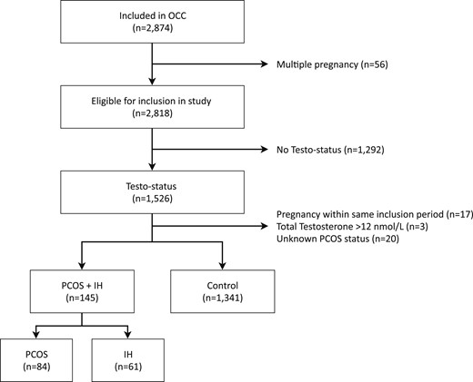 Flowchart of study population in OCC. IH, idiopathic hirsutism.